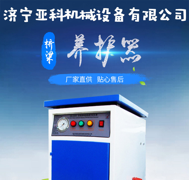 Engineering Prefabricated Bridge Fully Automatic Maintenance Machine Concrete Steam Curing Boiler Fuel Steam Generator