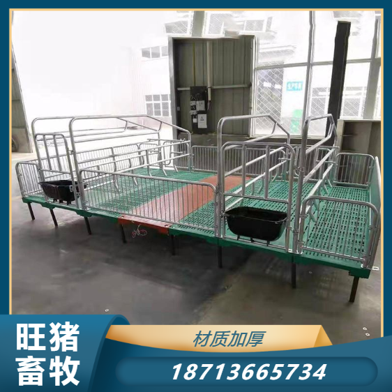 Single sow production bed pig breeding equipment logistics shipment hot-dip galvanized pipe welding Wang pig livestock