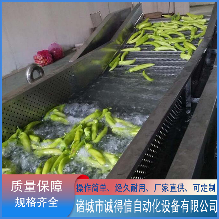 Green Bean Bubble Cleaning Machine Oil Stain Packaging Bag Brushing Equipment Fruit and Vegetable Cleaning Line Customizable