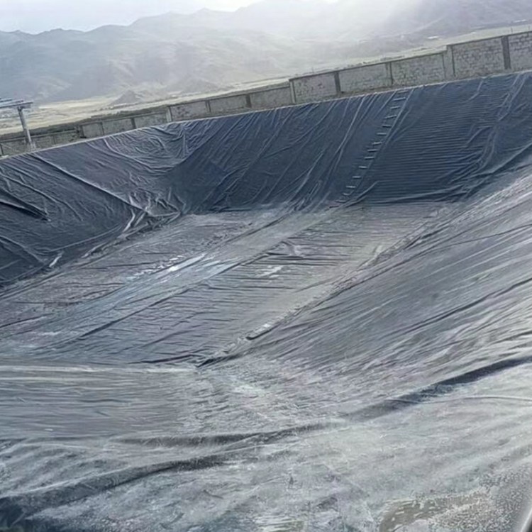 高密度聚乙烯土工膜沼气池氧化塘猪场污水处理池建设防渗膜