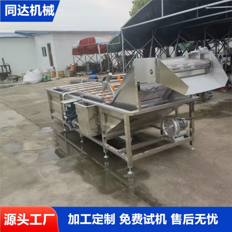 商用蔬菜水果气泡清洗机 荔枝龙眼清洗风干流水线 雪梨苹果清洗设备