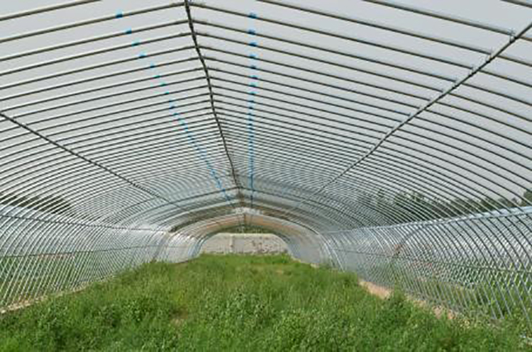 Shuaifeng Greenhouse Film Plastic Film Thickening Insulation Planting Greenhouse Film Plant Garden Transparent Plastic Cloth Manufacturer Wholesale