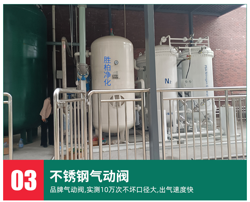 PSA dual tower nitrogen generator High purity food nitrogen production equipment Efficient pressure swing adsorption industrial air purification equipment