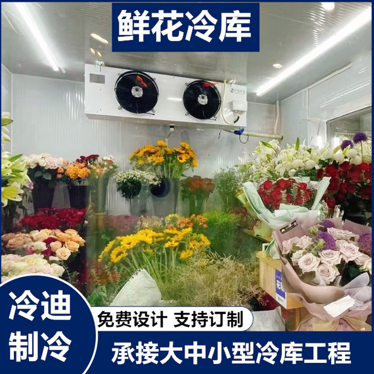 后补式冷库安装 玻璃鲜花冷藏库 10-100立方支持订制 白色冷迪品牌