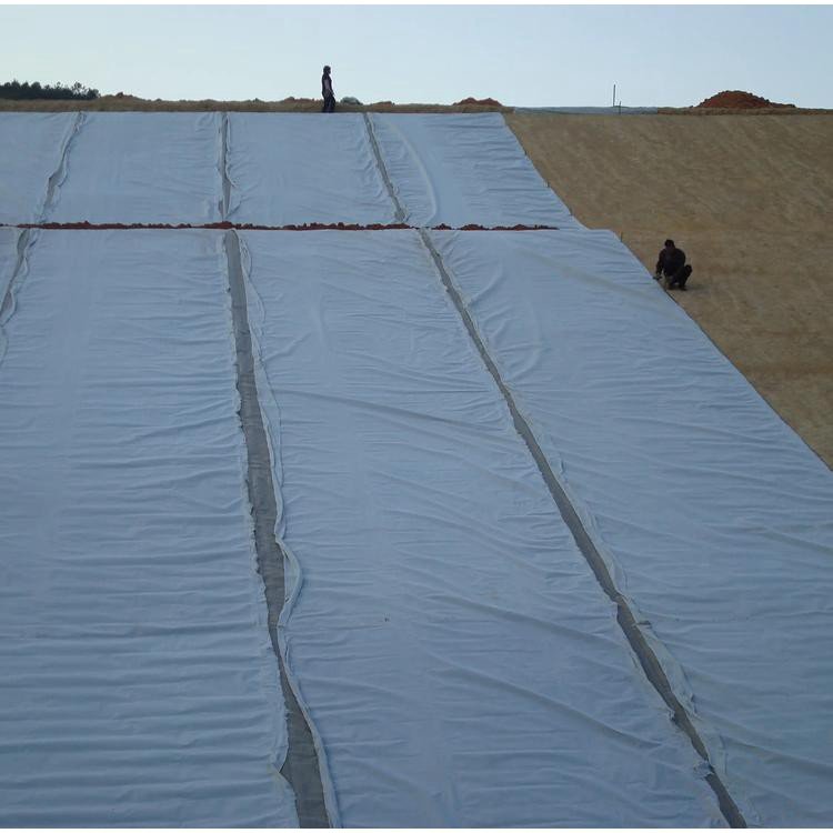 Composite geotextile film, geotextile HDPE film, 400g, 500g, 800g, artificial lake anti-seepage, one cloth, one film