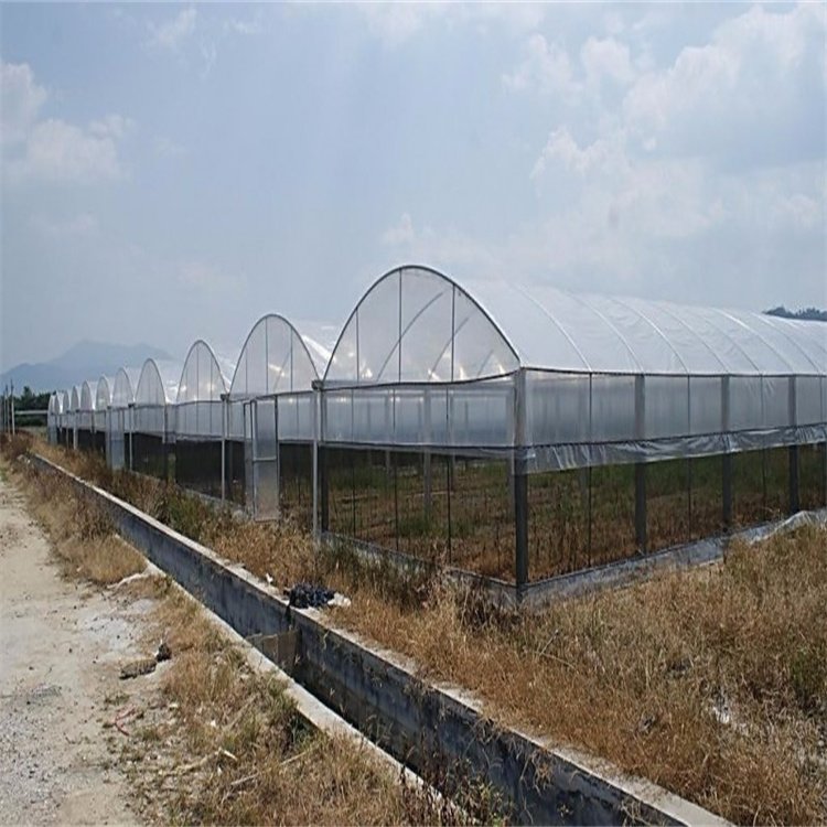 蔬菜大棚骨架批发厂家 温室大棚 加厚镀锌钢管骨架 智能大棚