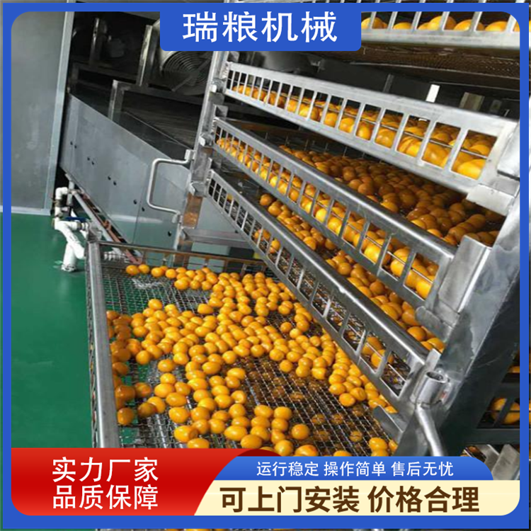 Small Yellow Ginger Processing Equipment Old Yellow Ginger Cleaning and Air Drying Machine Multifunctional Drying Machine Customization