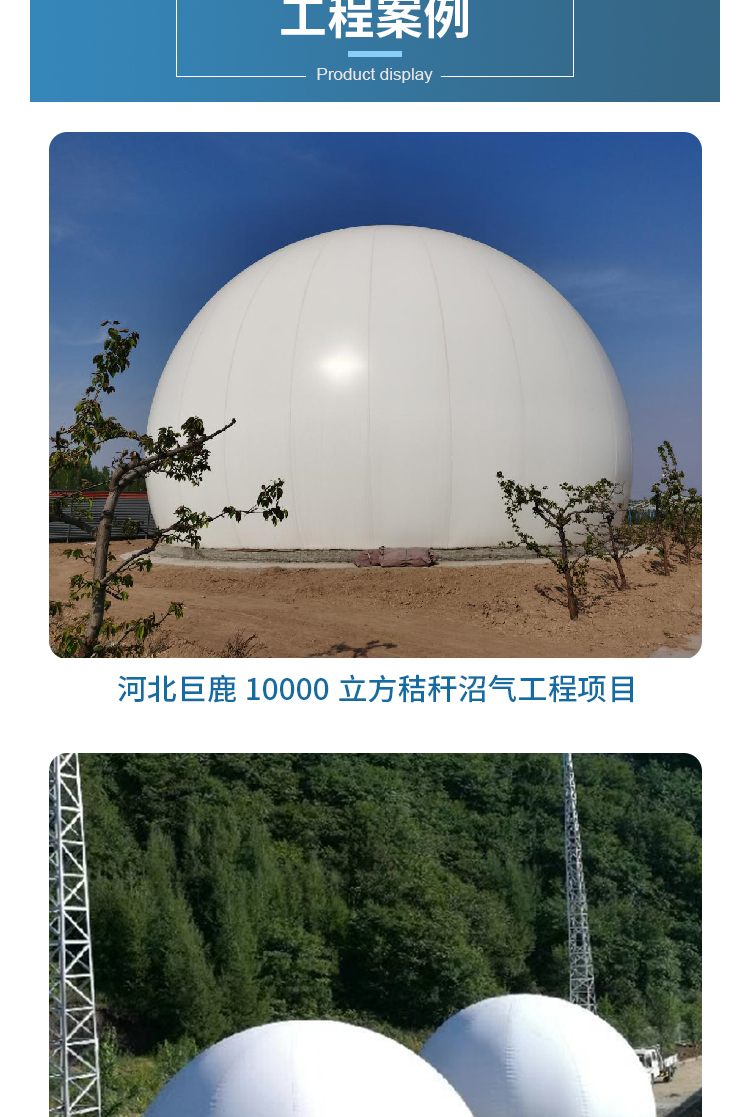 Flexible double membrane gas tank, independent gas storage tank, Hongshuo automatic control, dry biogas gas tank, biogas storage gas tank