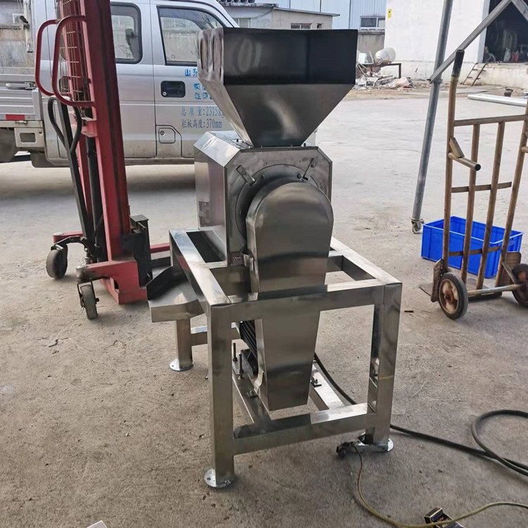 Ginger Watermelon Crushing Juicer Single Spiral Fruit Press Yangmei Pipa Peeling and Beating Machine