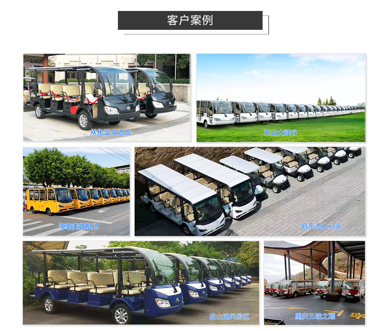 Donglang New Energy 8-seat electric sightseeing bus - Tour bus service D-G8