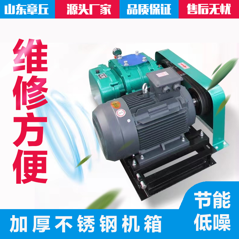 Roots blower for powder conveying (cement, feed, small flakes)