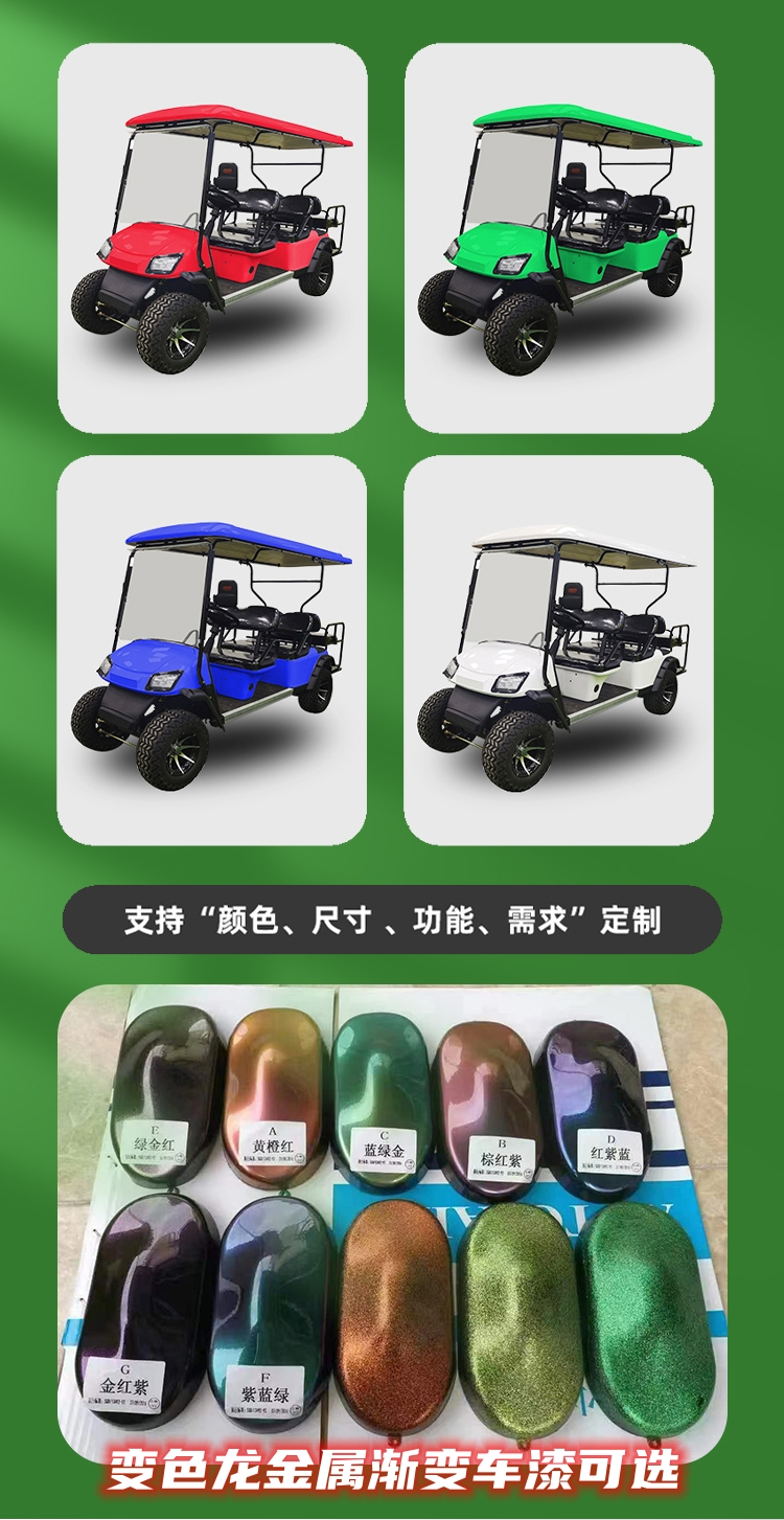Foreign trade version electric golf cart sightseeing car original Curtis Curtis controller KDS motor from the United States