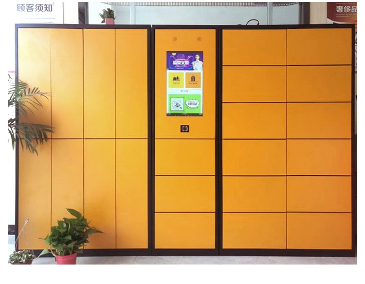 Sansenwo Smart Cabinet Manufacturer Self service Laundry Cabinet WeChat Scan Code Shared Storage Cabinet with Multiple Sizes