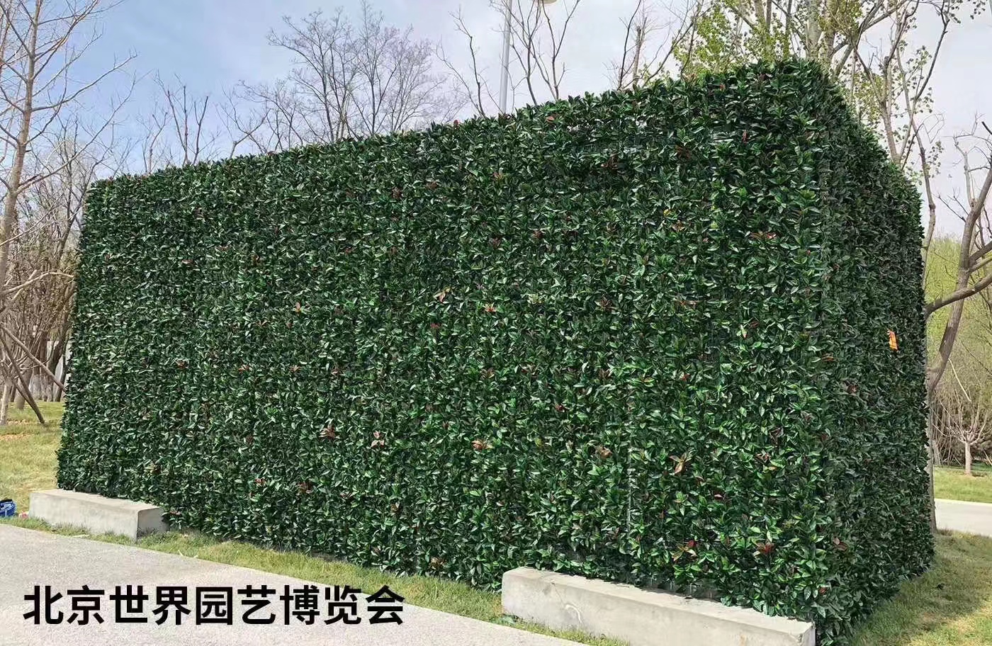绿墙生态 仿真绿植墙 绿化立体植物墙 上门测量 透气约180.00元(图5)