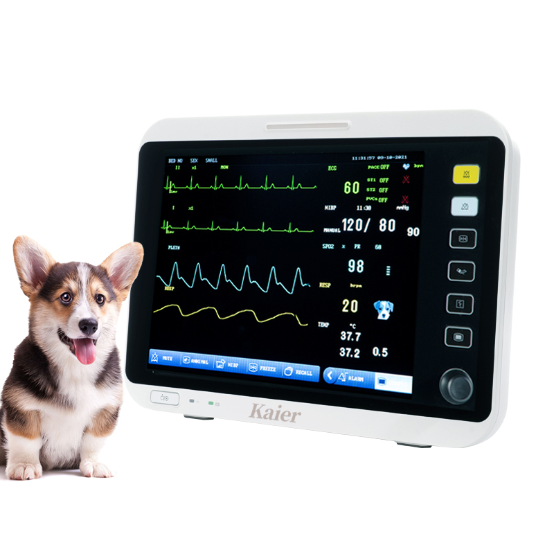 Veterinary station multi-parameter functional monitor manufacturer, ECG, blood oxygen, blood pressure portable vital sign support