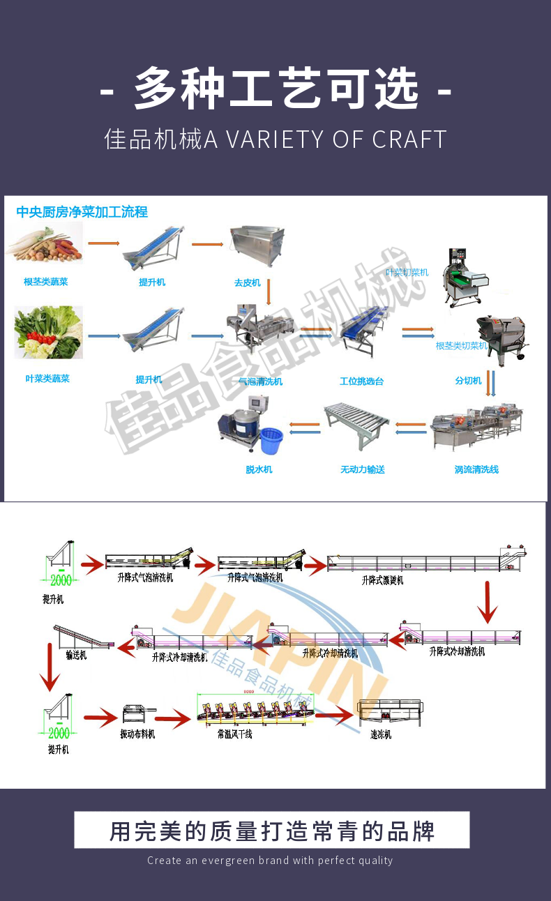 Supplier of a complete set of equipment for the processing of celery, beans, lettuce, and okra on the Jiabrand root and stem clean vegetable processing assembly line