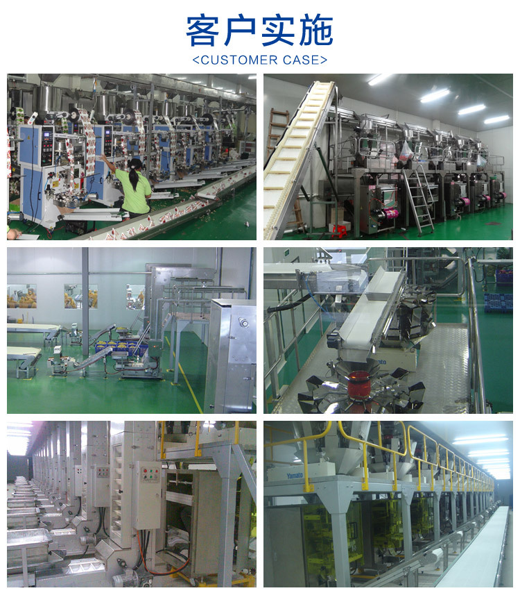 Hengwei vertical liquid sauce mechanical pump, three side sealing, chili oil seasoning bag filling machine, commercial packaging machine