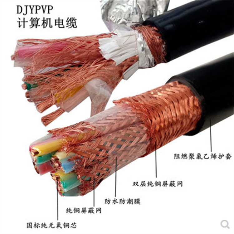 ZR-DJYPVP 2*2*1.0 计算机信号线DJYPV电子仪表电缆