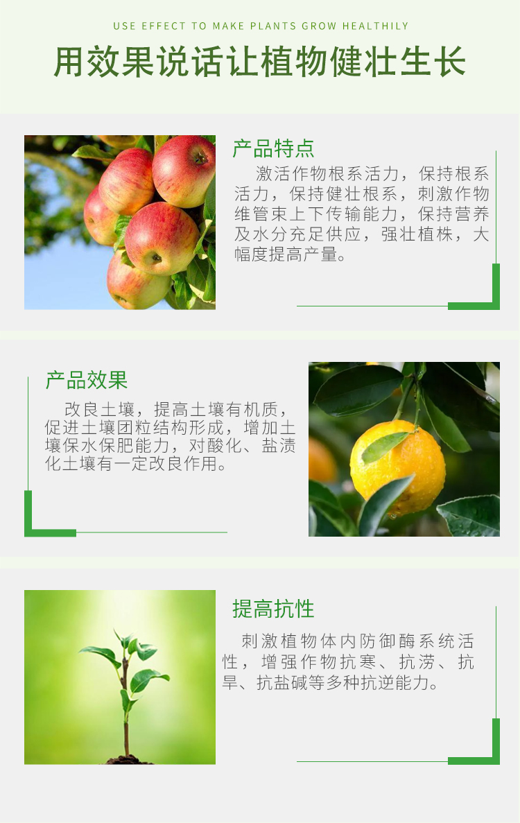 Seaweed boron liquid with high content of water-soluble boron fertilizer for fruit preservation and fruit setting, sold as polyphenols