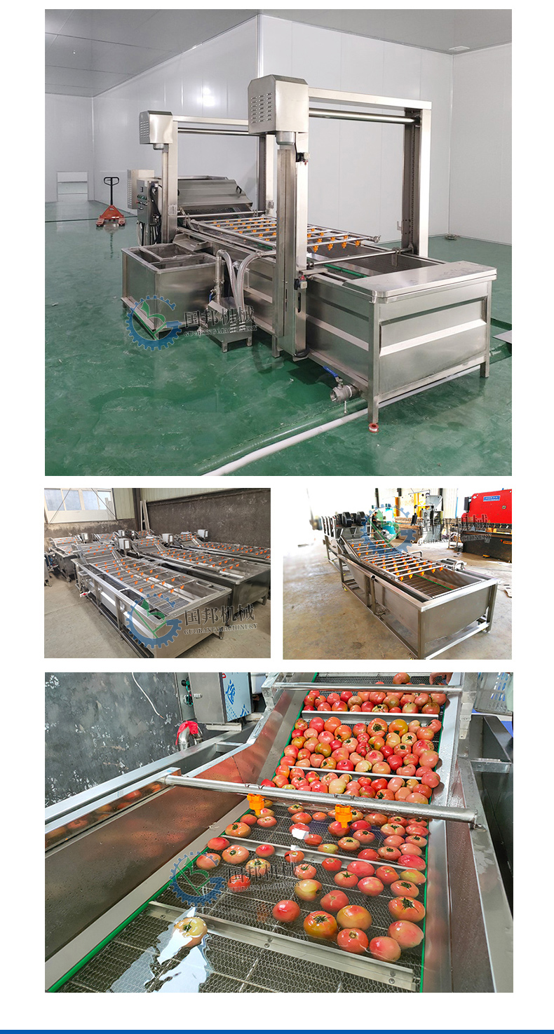 Vegetable Cleaning Machine Spinach, Cabbage, Chrysanthemum, and Artemisia Bubble Cleaning Machine Fully Automatic Fruit and Vegetable Cleaning Equipment