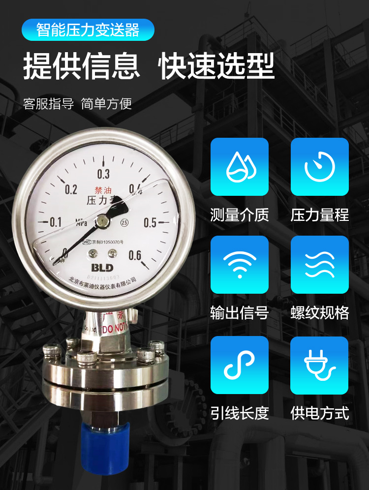 Brady shockproof pressure gauge with high accuracy for air pressure, water pressure, and oil pressure measuring instruments