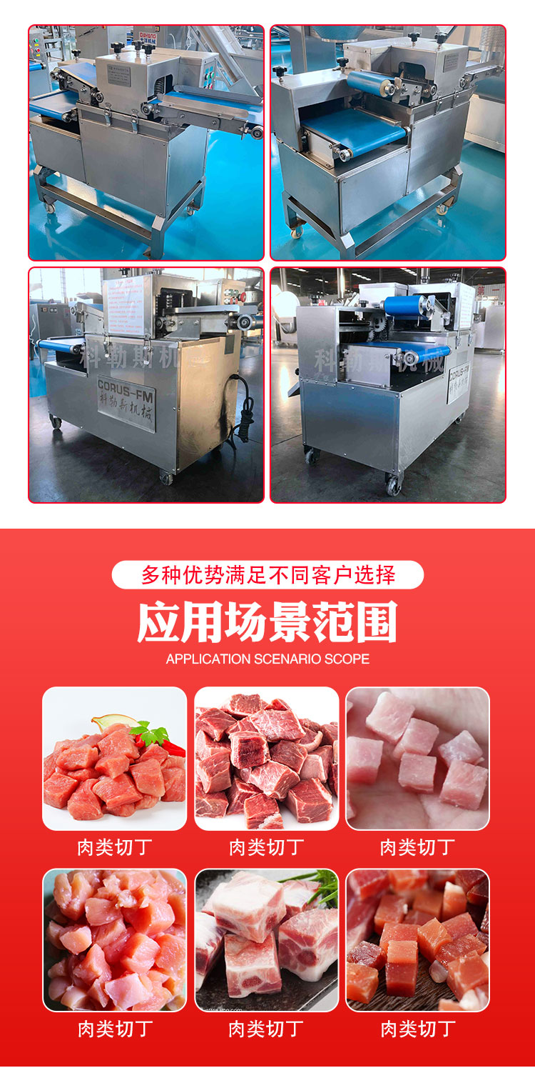 Fresh Meat Dicing Machine Kohler Machinery RQD600 Multifunctional Cold Fresh Meat Dicing Equipment