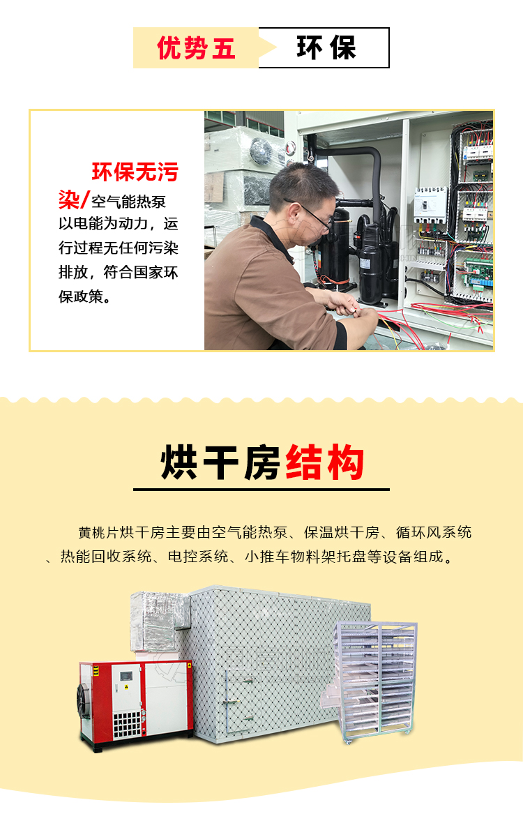 Guoxin Intelligent Fruit Drying Machine Huangtao Slice Drying Room Mango Drying Equipment Household Fruit and Vegetable Drying Machine