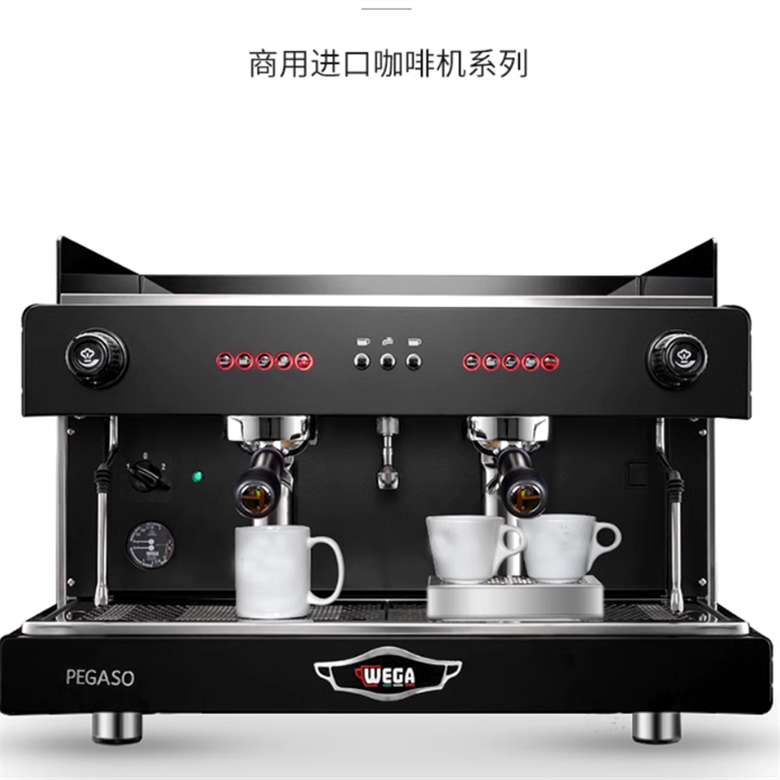 Italian WEGA PEGASO Picasso's New Commercial Double Head Coffee Machine