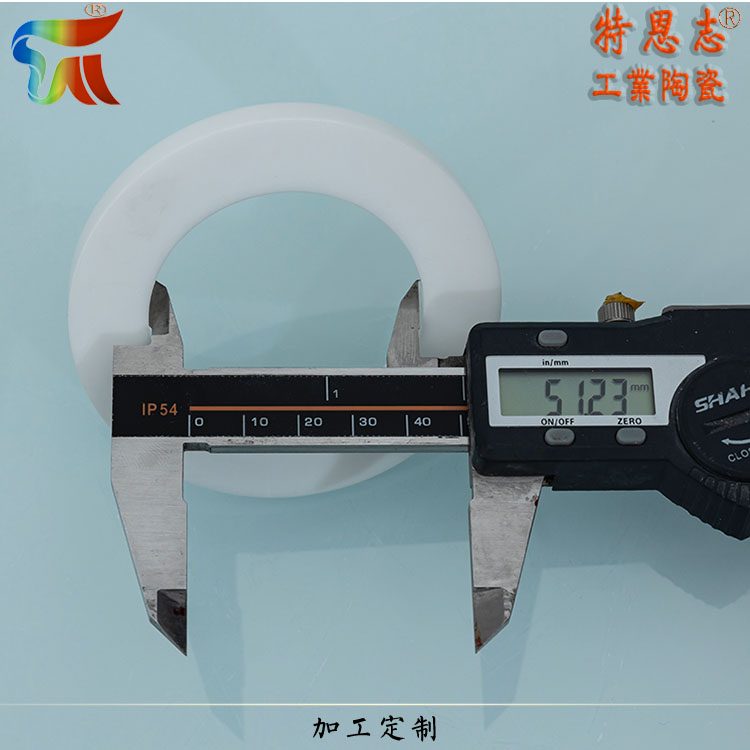 Terenz Dry Press Forming Manufacturer for Precision Zirconia Ceramic Ring Sealing