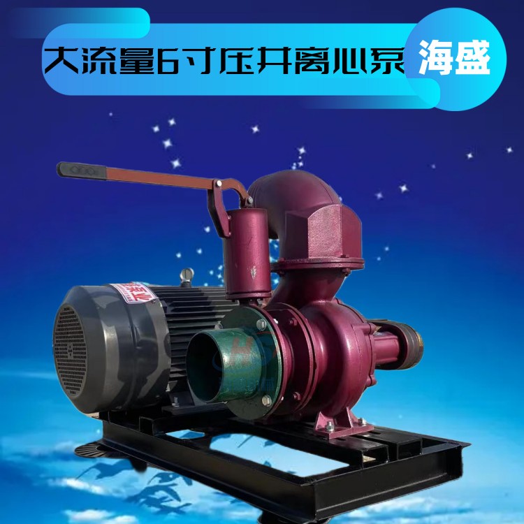 High lift 12 inch double outlet water pump 6105 diesel drainage mobile pump truck pressure well centrifugal 8 inch sewage pump