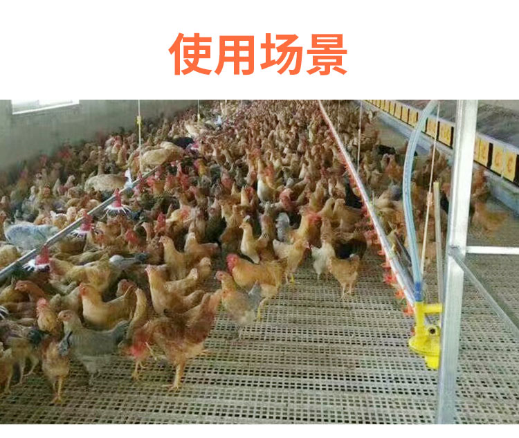 Plastic manure leakage board for chickens, ducks, and geese, chicken house floor, poultry breeding, plastic mesh bed, Yongsheng Agriculture and Animal Husbandry