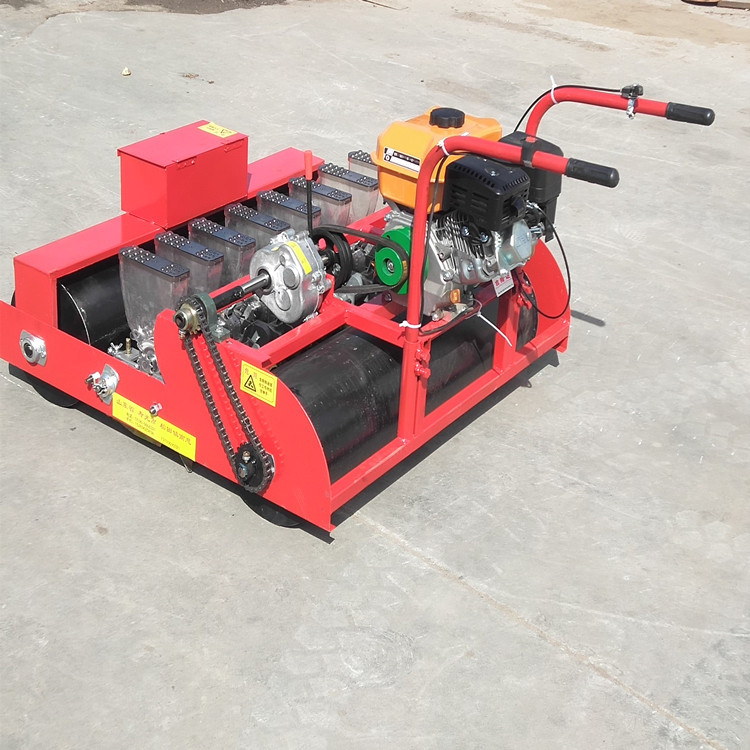 Small agricultural gasoline precision seeder, celery and coriander planting seeder, multi row bitter herb planting equipment