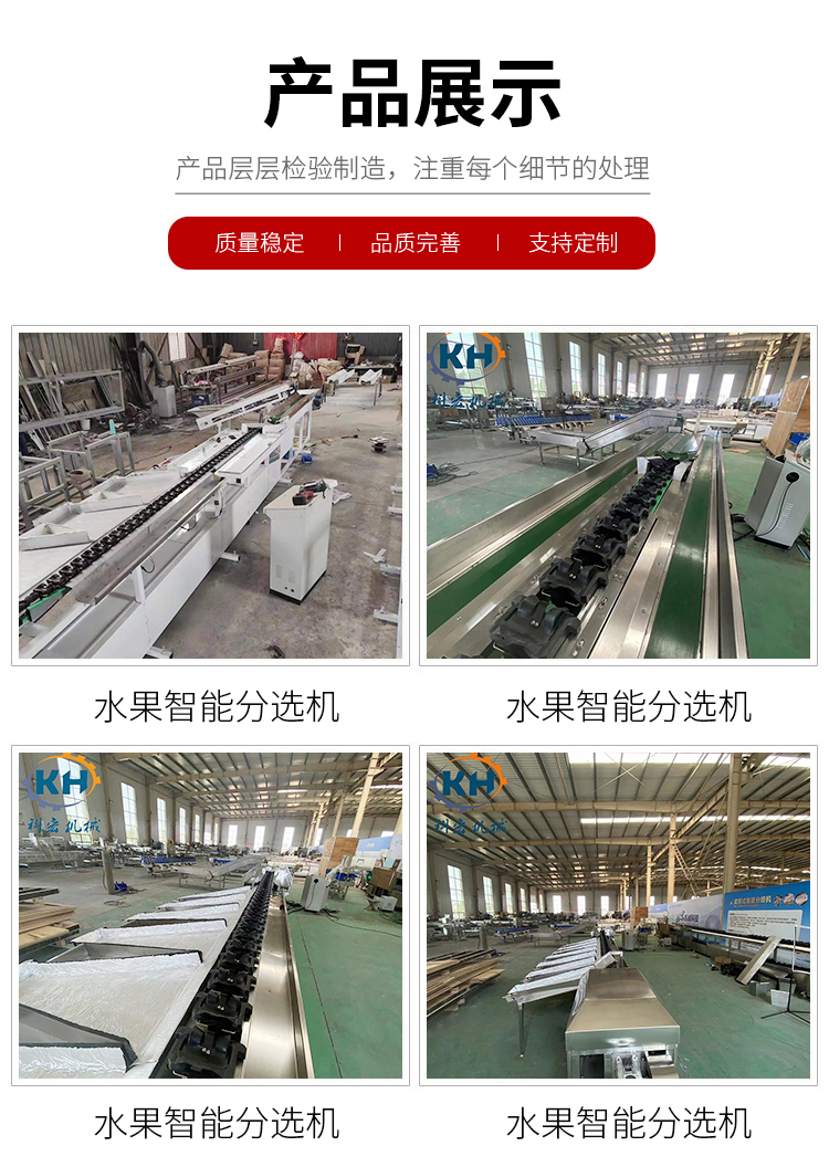 Fruit sorting machine avocado weight classifier dragon fruit mango apple citrus fruit selection equipment