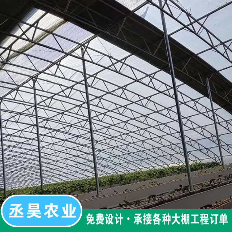 Double membrane framework and double beam design for vegetable planting greenhouse, stable and durable, 80 type galvanized C-shaped steel