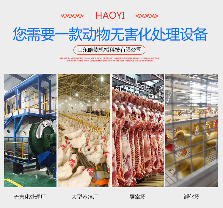 Chicken bone meal processing equipment Complete set of equipment for chicken bone meal Chemical drying integrated machine Shi Hong