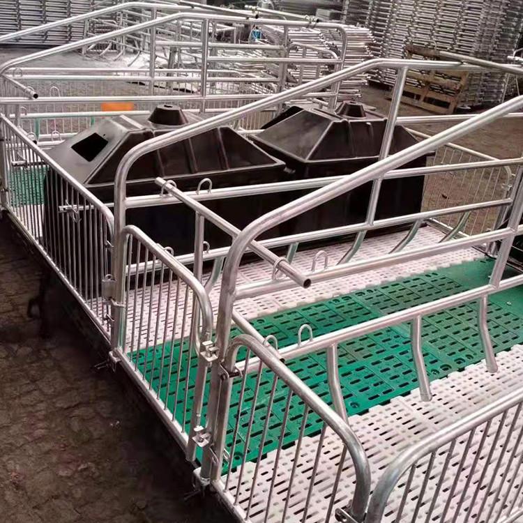 Wangzhu Livestock Supply Breeding Sow Delivery Bed Galvanized Tube Single and Double Body Delivery Bed