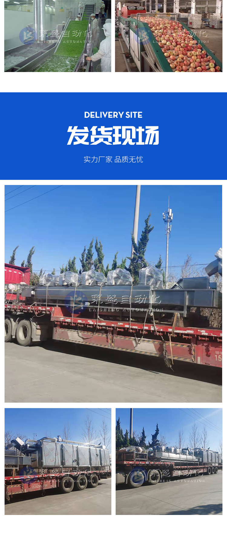 Rape Cabbage bubble cleaning machine Bok choy clean vegetable processing line spinach amaranth cleaning equipment