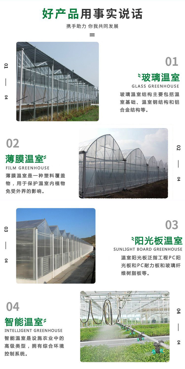 Customized film multi-span greenhouse with large lighting area for fruit and vegetable farming in greenhouses