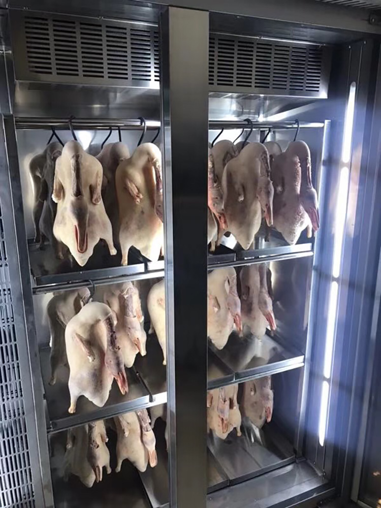 Air drying cabinet, duck drying cabinet, commercial embryo drying cabinet, air-cooled roast duck and goose roasting cabinet, fresh keeping chicken and goose roasting and waxing cabinet, dehumidification and duck hanging machine