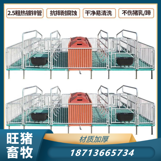 Single sow production bed pig breeding equipment logistics shipment hot-dip galvanized pipe welding Wang pig livestock