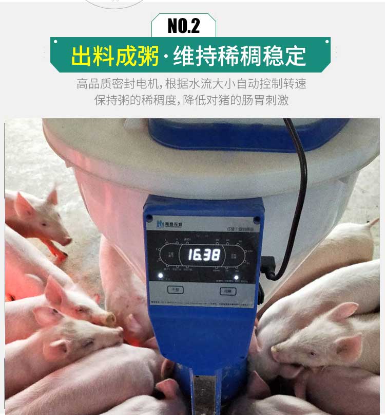 Intelligent automatic Congee feeder pig Congee feeder pig free feeding trough pig farm liquid feeding equipment