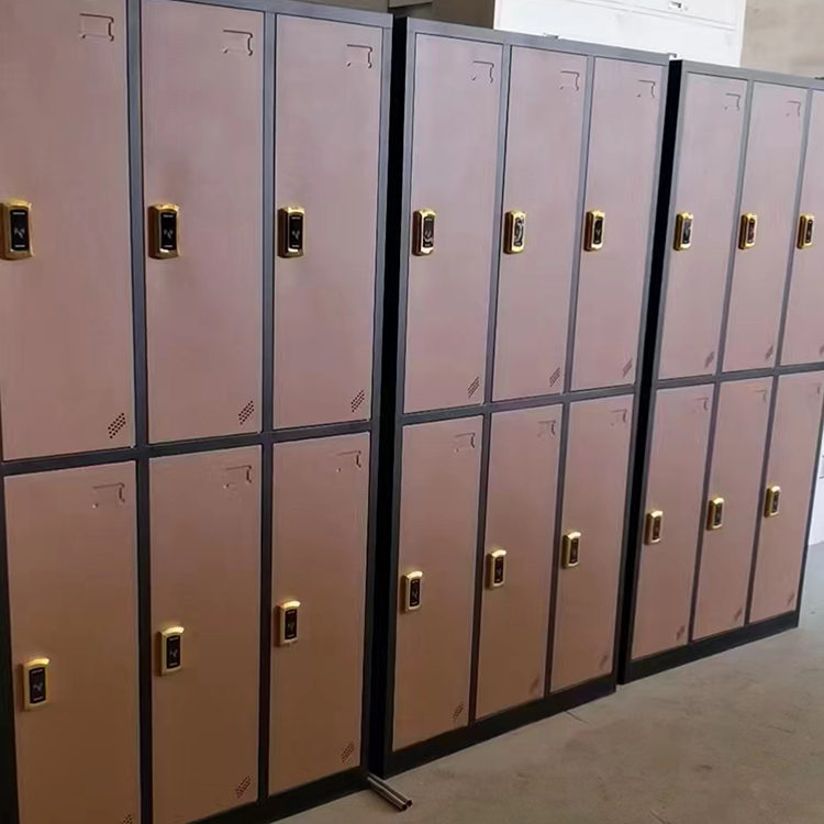 Customized steel storage cabinets with locks for student dormitory changing cabinets and employees