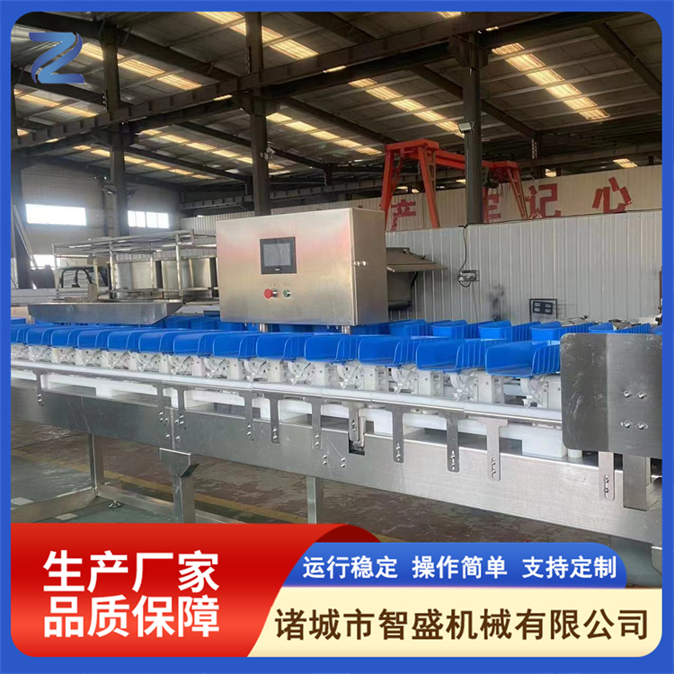 Material box sorting machine, oyster and pomfret weighing and sorting equipment, sea cucumber and oyster weight classifier