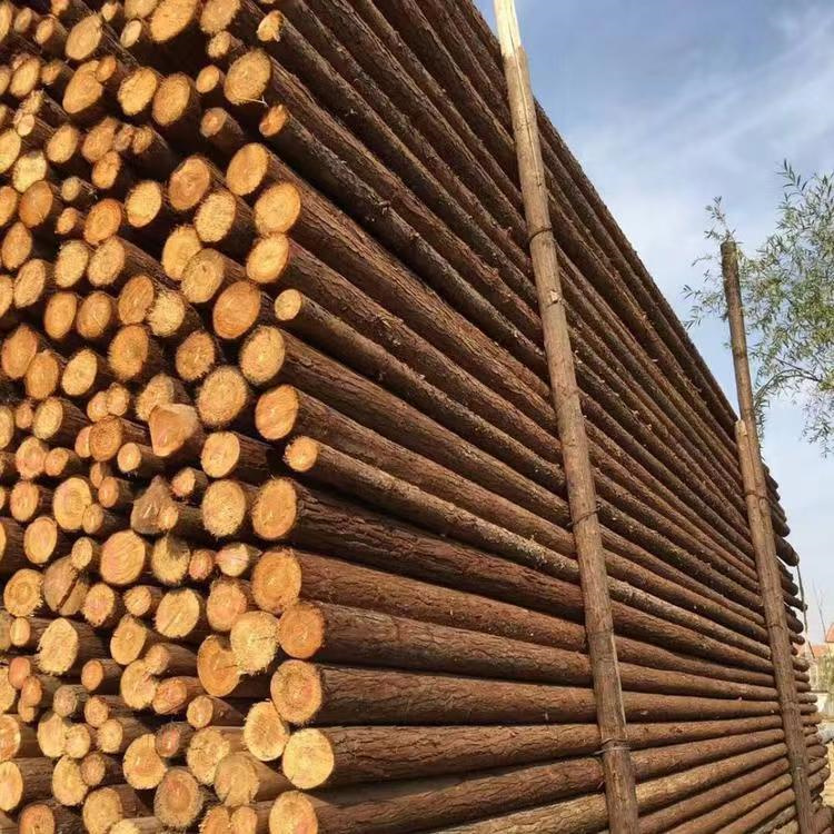 Green poles supply, landscaping and greening engineering, Chinese fir poles, Chinese fir pile base, direct sales