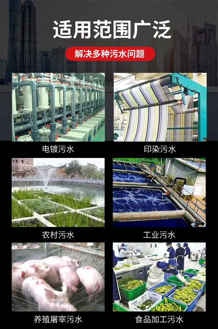 Dissolved Air Floatation Machine Fish Farm Wastewater Treatment Equipment Pig Farm Cattle Farm Wastewater Treatment Equipment