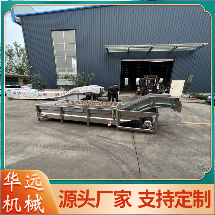 Large chestnut cleaning machine, bamboo shoot cleaning and desalination equipment, vegetable desalination machine HY-85