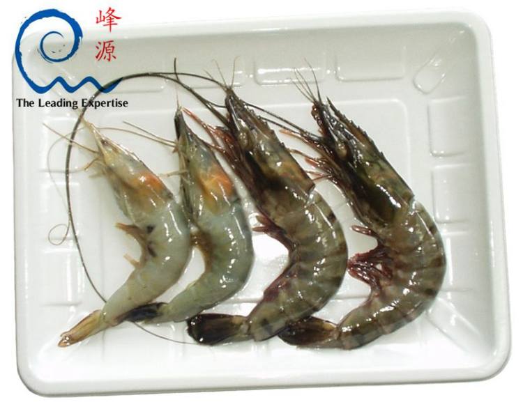 海虾产品贴体膜 牛肉贴体包装膜 透明度高 拉伸性佳
