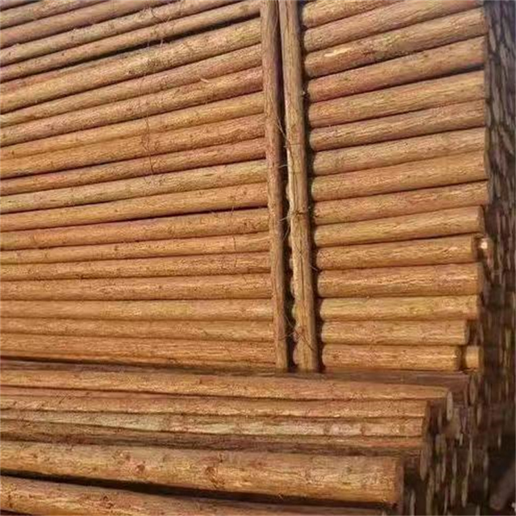 Green poles supply, landscaping and greening engineering, Chinese fir poles, Chinese fir pile base, direct sales