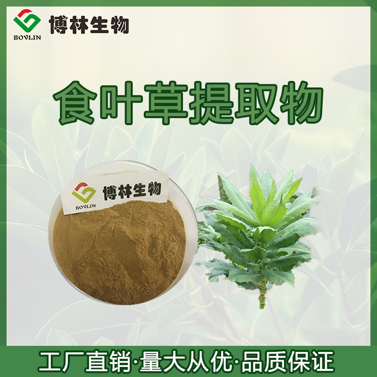 Bolin Biological Leaf Eating Grass Extract 10:1 Instant Leaf Eating Grass Powder New Food Samples Provided