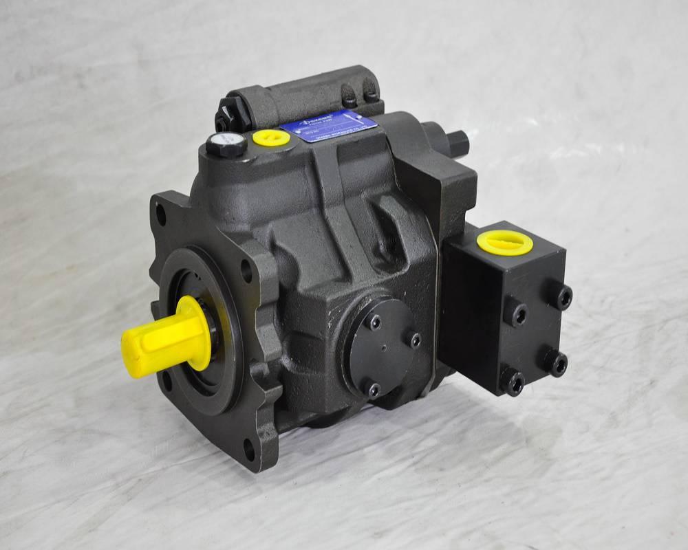 Dekema Medium Pressure Variable Vane Pump VP3-20/30/40-140 HVP30/40-FA3 VP5F-A5-50